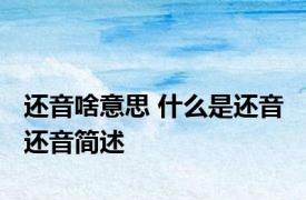 还音啥意思 什么是还音 还音简述