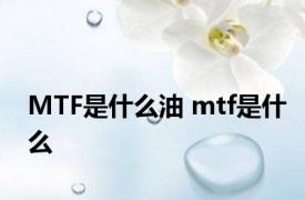 MTF是什么油 mtf是什么