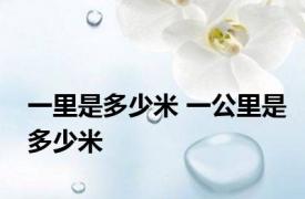 一里是多少米 一公里是多少米