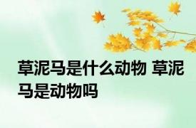草泥马是什么动物 草泥马是动物吗