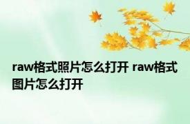 raw格式照片怎么打开 raw格式图片怎么打开