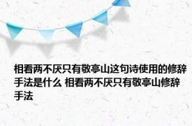 相看两不厌只有敬亭山这句诗使用的修辞手法是什么 相看两不厌只有敬亭山修辞手法