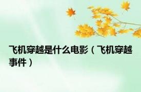 飞机穿越是什么电影（飞机穿越事件）