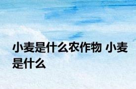 小麦是什么农作物 小麦是什么