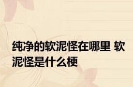 纯净的软泥怪在哪里 软泥怪是什么梗