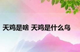 天鸡是啥 天鸡是什么鸟