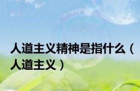 人道主义精神是指什么（人道主义）