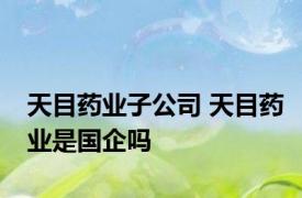 天目药业子公司 天目药业是国企吗