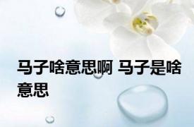 马子啥意思啊 马子是啥意思