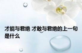 才能与君绝 才敢与君绝的上一句是什么