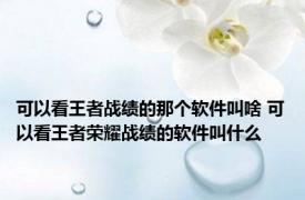可以看王者战绩的那个软件叫啥 可以看王者荣耀战绩的软件叫什么