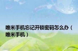 唯米手机忘记开锁密码怎么办（唯米手机）