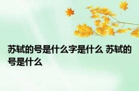 苏轼的号是什么字是什么 苏轼的号是什么