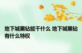 地下城黑钻能干什么 地下城黑钻有什么特权
