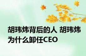 胡玮炜背后的人 胡玮炜为什么卸任CEO