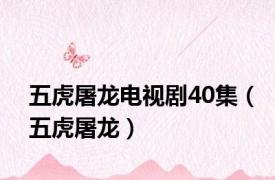 五虎屠龙电视剧40集（五虎屠龙）