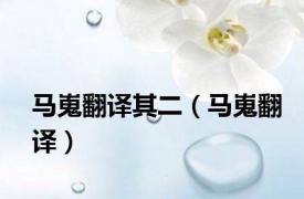 马嵬翻译其二（马嵬翻译）