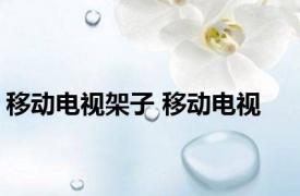 移动电视架子 移动电视 
