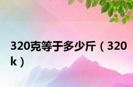320克等于多少斤（320k）