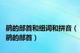 鹃的部首和组词和拼音（鹃的部首）