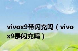 vivox9带闪充吗（vivox9是闪充吗）