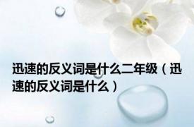 迅速的反义词是什么二年级（迅速的反义词是什么）