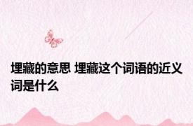 埋藏的意思 埋藏这个词语的近义词是什么