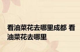 看油菜花去哪里成都 看油菜花去哪里