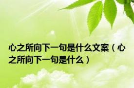 心之所向下一句是什么文案（心之所向下一句是什么）