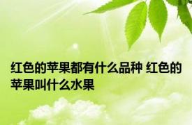 红色的苹果都有什么品种 红色的苹果叫什么水果