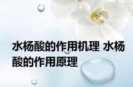 水杨酸的作用机理 水杨酸的作用原理