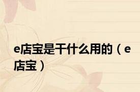 e店宝是干什么用的（e店宝）