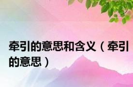 牵引的意思和含义（牵引的意思）