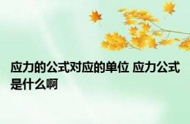 应力的公式对应的单位 应力公式是什么啊