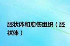 胚状体和愈伤组织（胚状体）