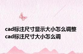 cad标注尺寸显示大小怎么调整 cad标注尺寸大小怎么调