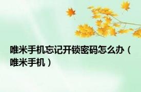 唯米手机忘记开锁密码怎么办（唯米手机）