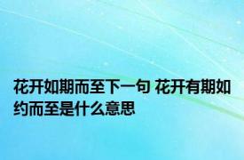 花开如期而至下一句 花开有期如约而至是什么意思