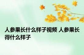 人参果长什么样子视频 人参果长得什么样子
