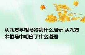 从九方皋相马得到什么启示 从九方皋相马中明白了什么道理