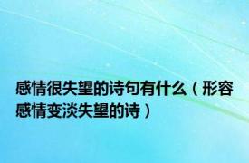 感情很失望的诗句有什么（形容感情变淡失望的诗）