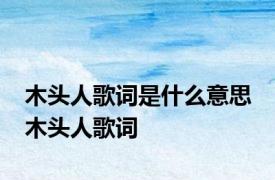 木头人歌词是什么意思 木头人歌词 