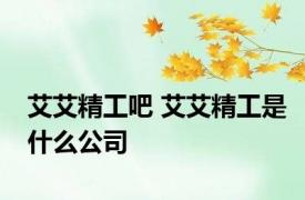 艾艾精工吧 艾艾精工是什么公司