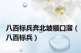 八百标兵奔北坡顺口溜（八百标兵）
