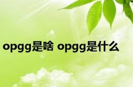 opgg是啥 opgg是什么