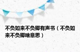 不负如来不负卿有声书（不负如来不负卿啥意思）