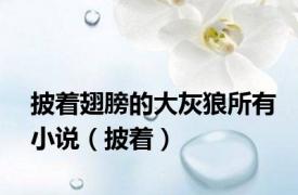 披着翅膀的大灰狼所有小说（披着）