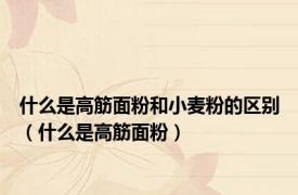 什么是高筋面粉和小麦粉的区别（什么是高筋面粉）