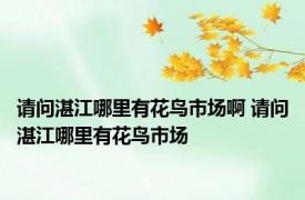请问湛江哪里有花鸟市场啊 请问湛江哪里有花鸟市场