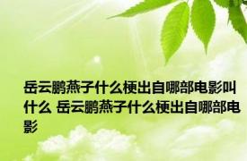 岳云鹏燕子什么梗出自哪部电影叫什么 岳云鹏燕子什么梗出自哪部电影